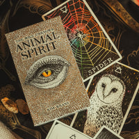 Wild Unknown Animal Spirit Deck and Guidebook