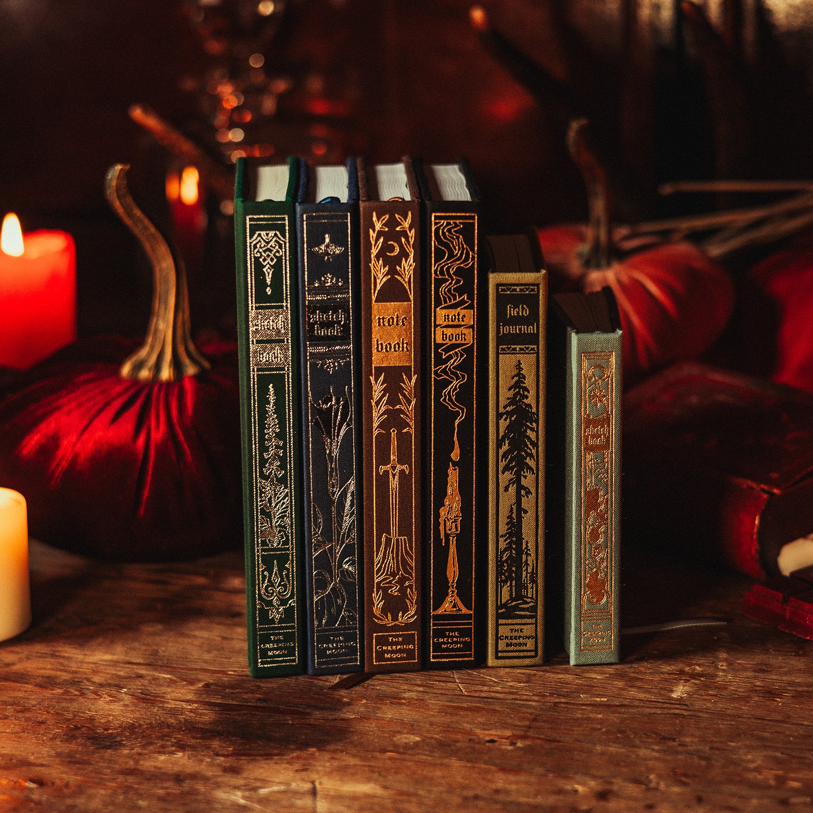 The Astronomer Antiquarian Blank Notebook by The Creeping Moon