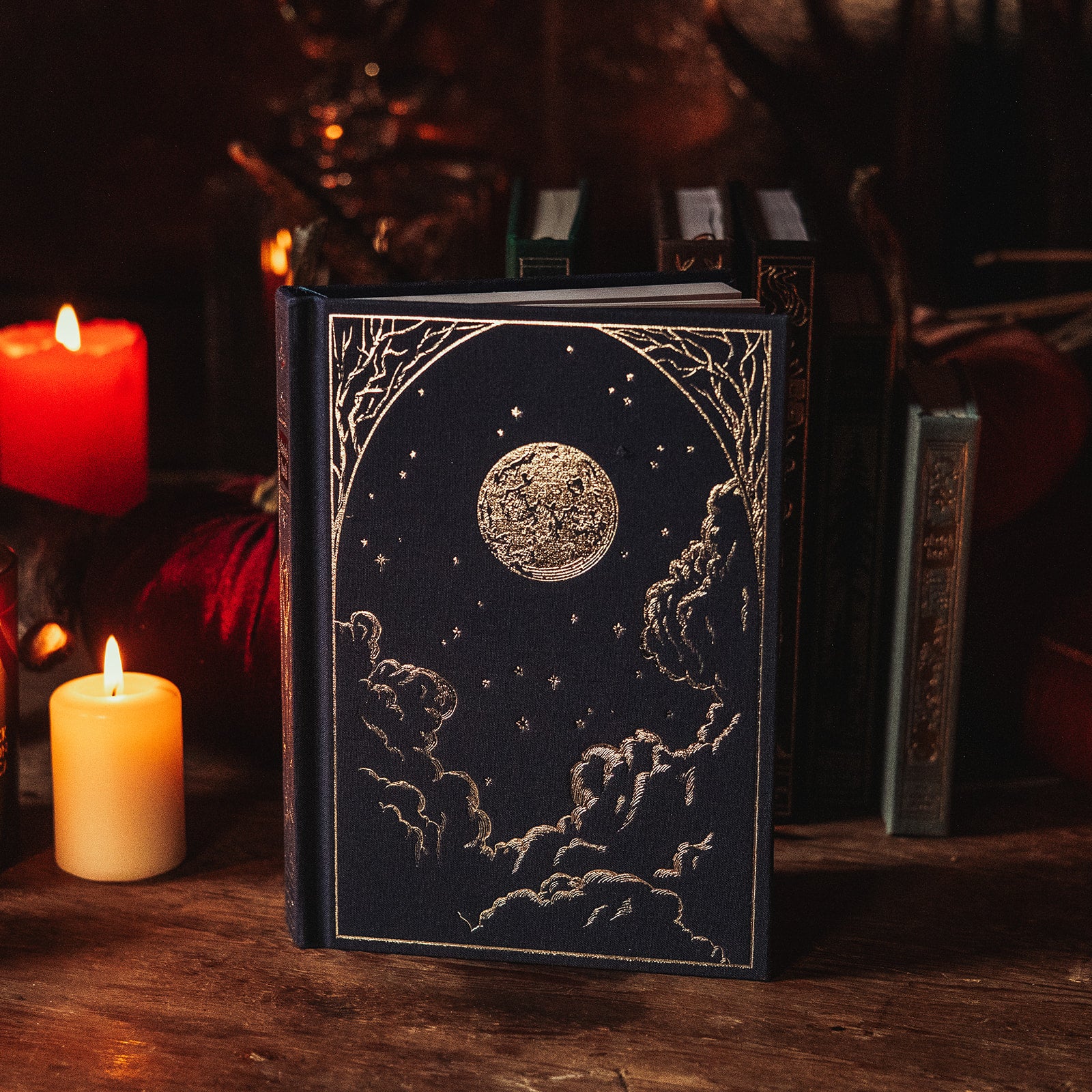 The Astronomer Antiquarian Blank Notebook by The Creeping Moon
