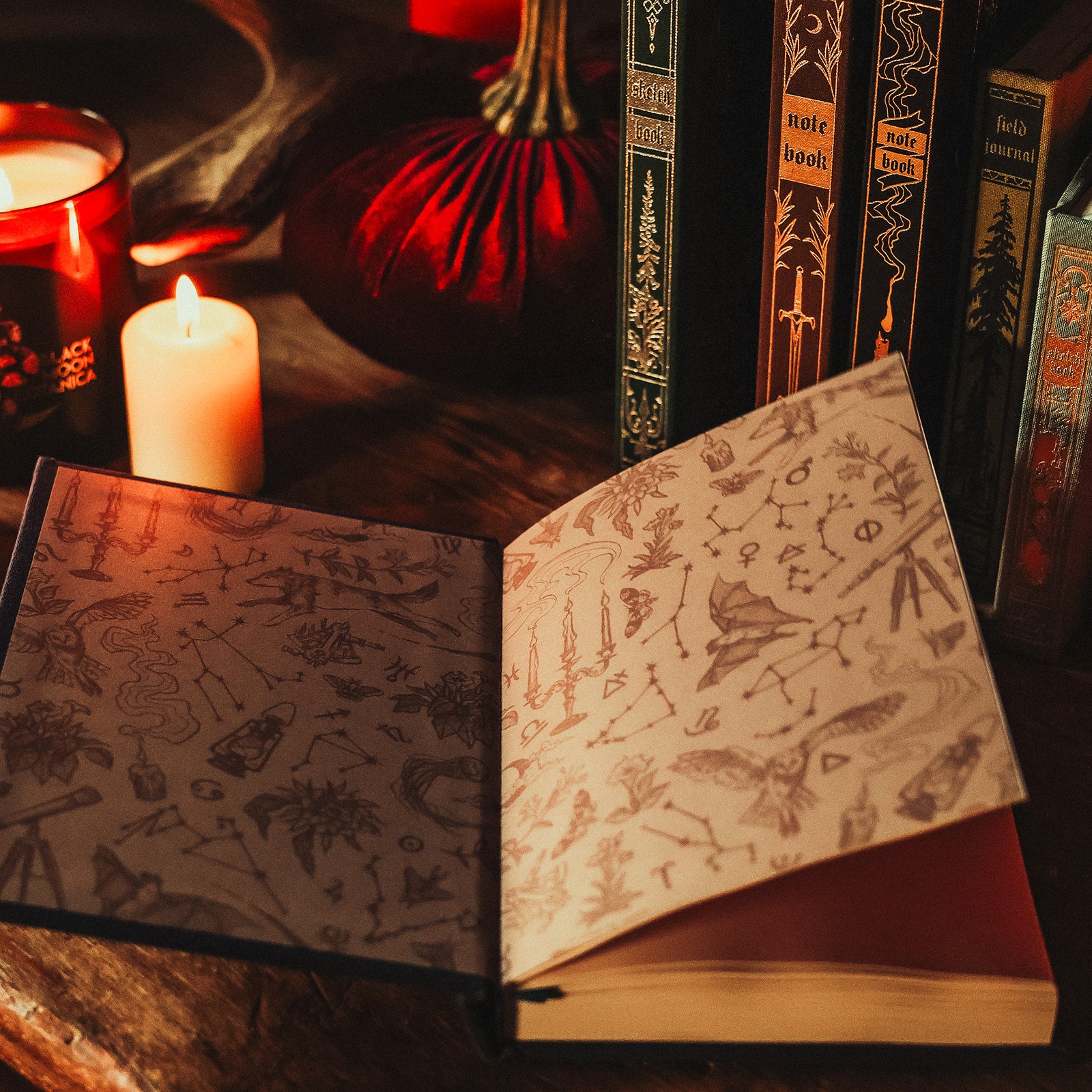 The Astronomer Antiquarian Blank Notebook by The Creeping Moon