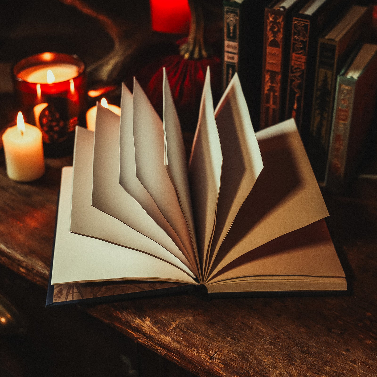 The Astronomer Antiquarian Blank Notebook by The Creeping Moon