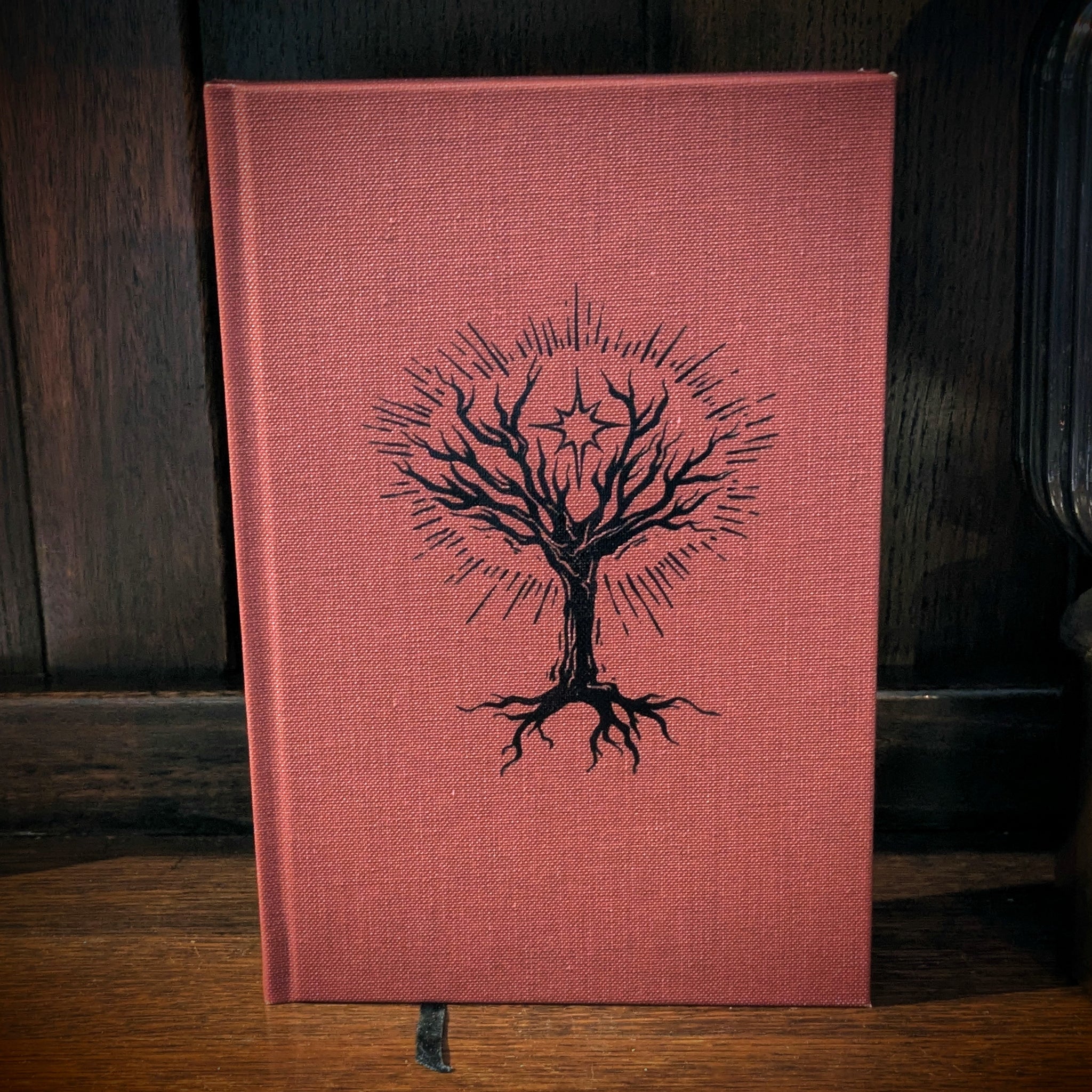 Witchcraft And The Shamanic Journey by Kenneth Johnson