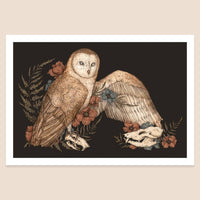 Barn Owl Art Print by Jessica Roux