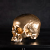 Skull of Jane Doe Ornament by The Blackened Teeth