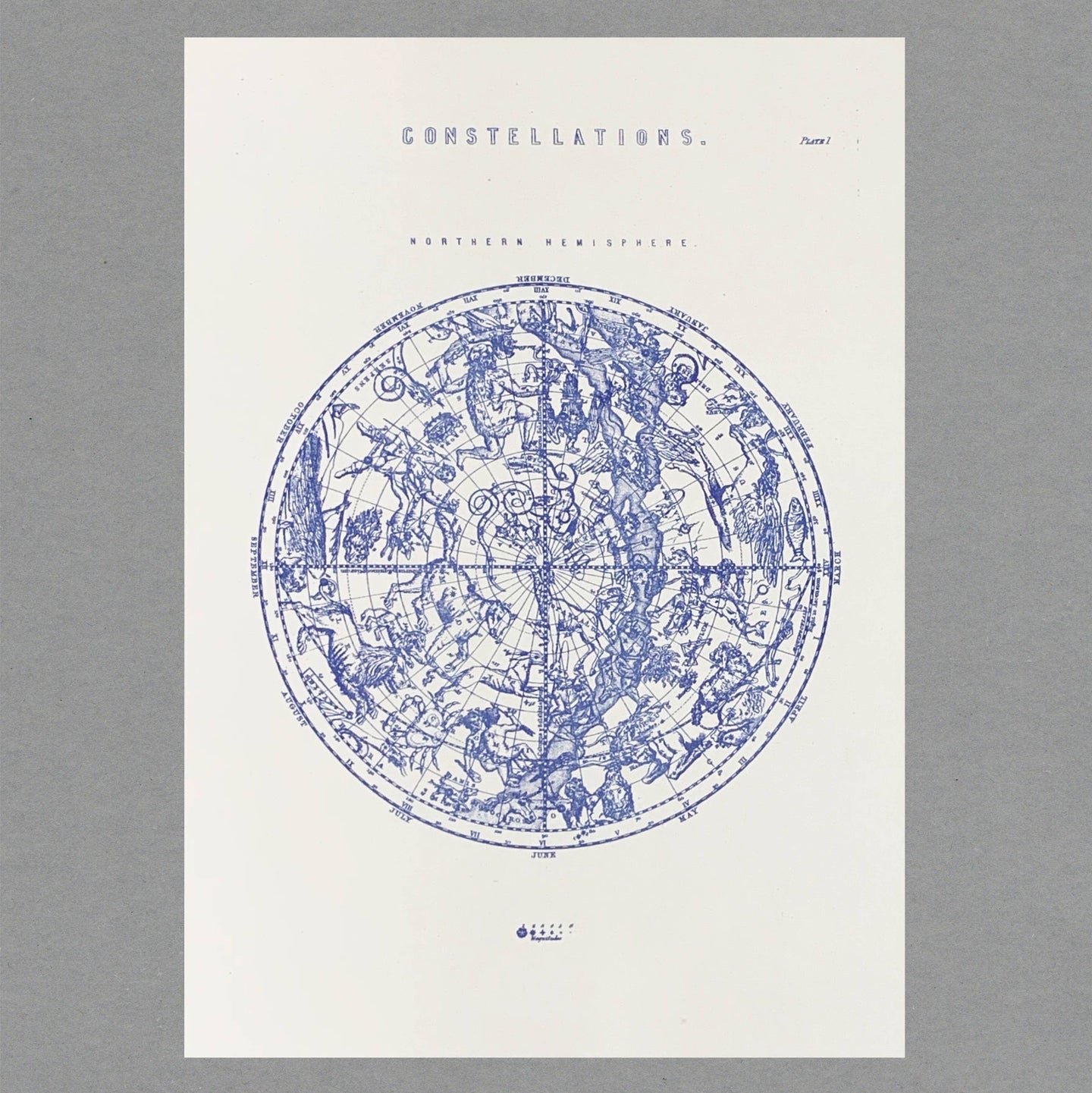 Constellation Art Print by The Passenger Press