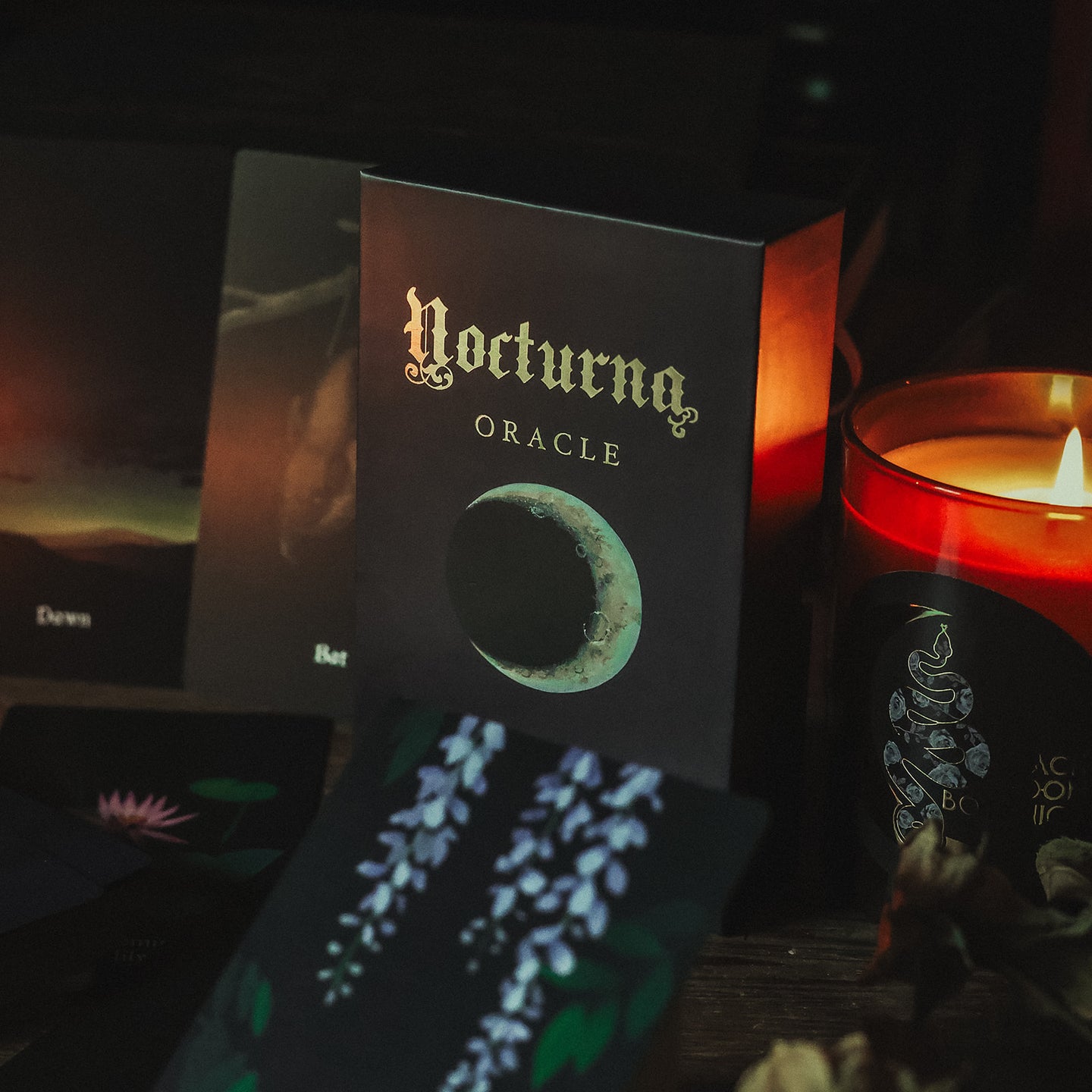 Nocturna Oracle Deck