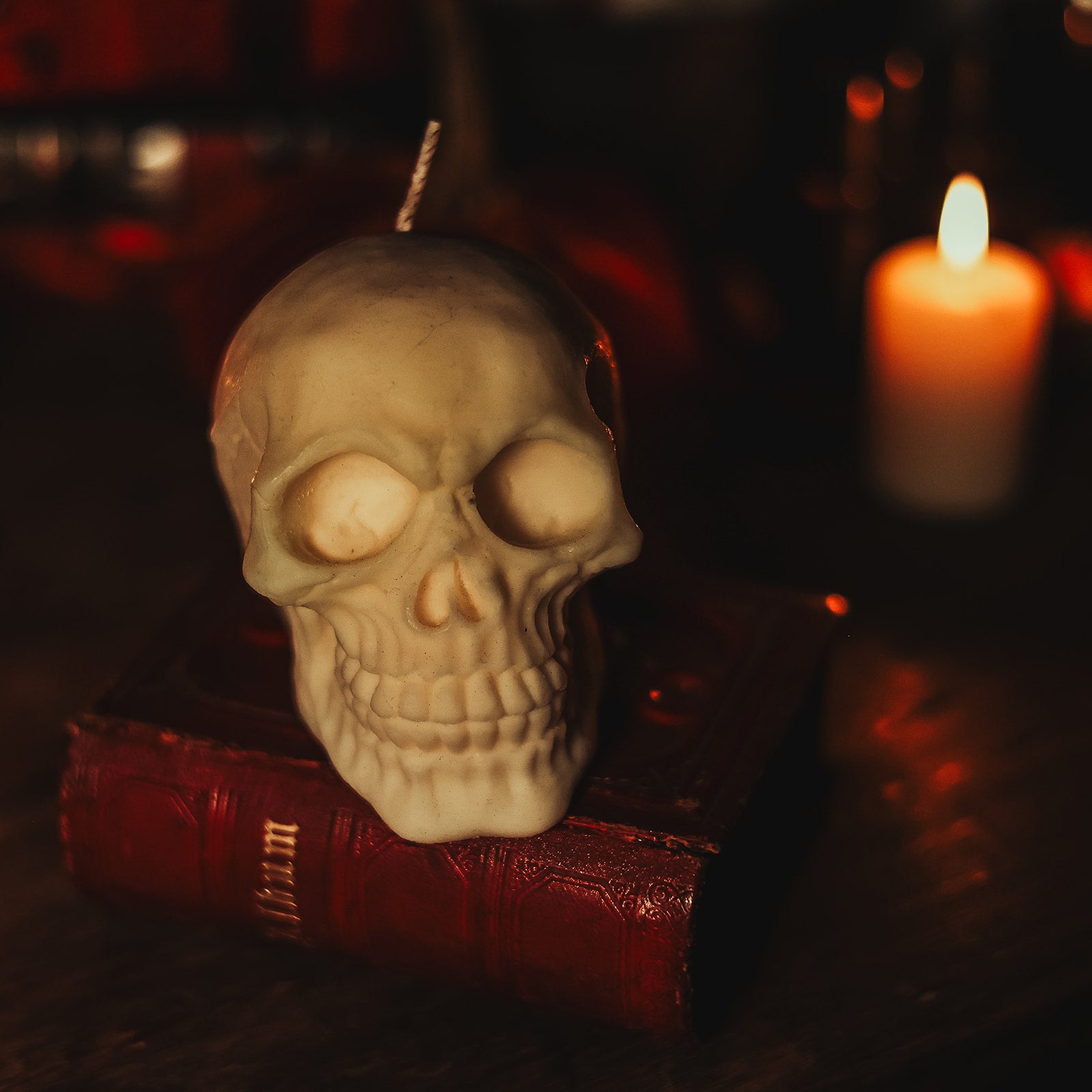Skull Candle – Black Moon Botanica Edinburgh UK