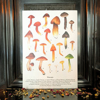Waxcaps Art Print by Katrin Blackwater