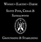 Witch Wood Wax Melt Bar
