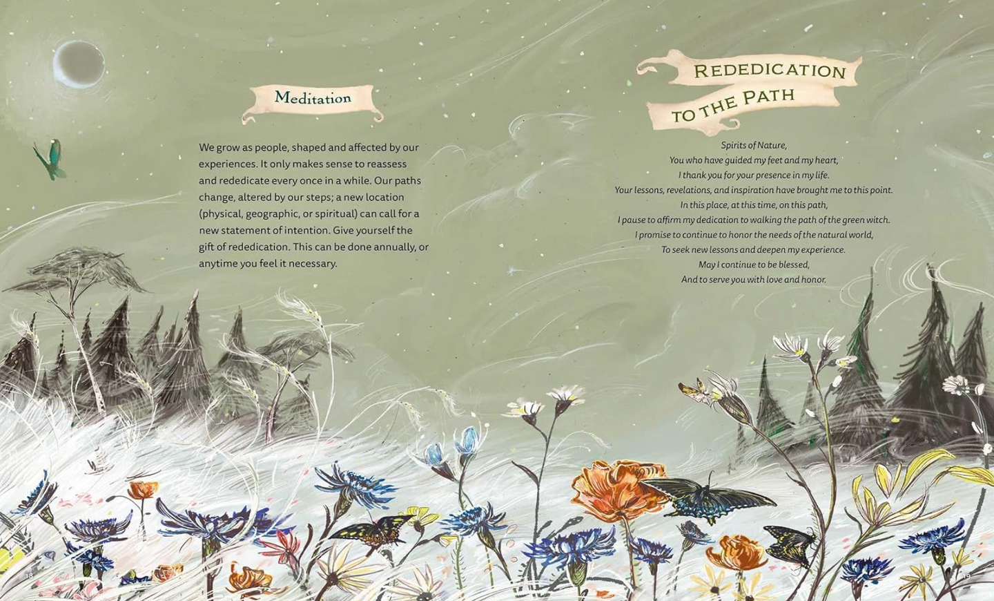 The Green Witch Illustrated