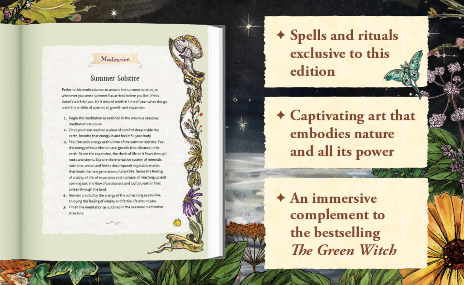 The Green Witch Illustrated