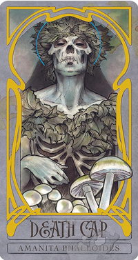Lady Stirling's Wicked Garden Oracle Deck