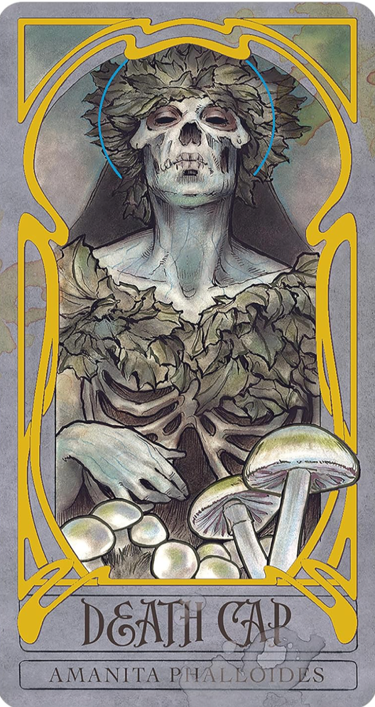 Lady Stirling's Wicked Garden Oracle Deck