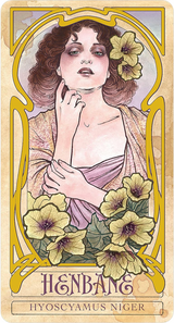 Lady Stirling's Wicked Garden Oracle Deck