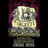 The Owl's Eye by Corinne Boyer