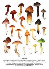 Waxcaps Art Print by Katrin Blackwater