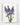 Bluebells Greeting Card
