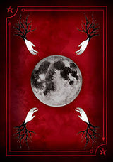 Seasons of the Witch: Samhain Oracle