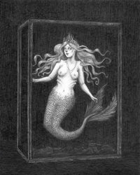 The Siren Art Print by Caitlin McCarthy