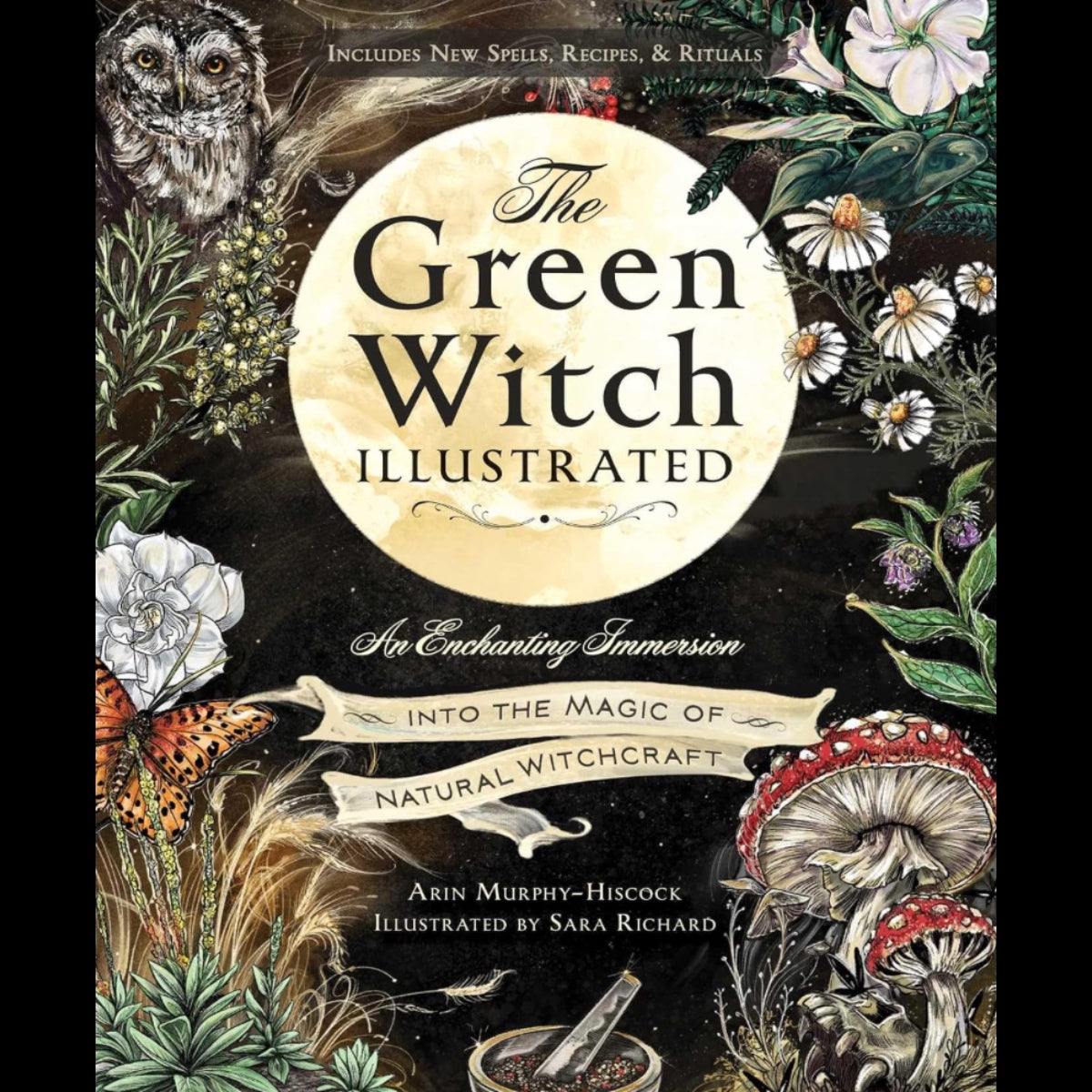 The Green Witch Illustrated